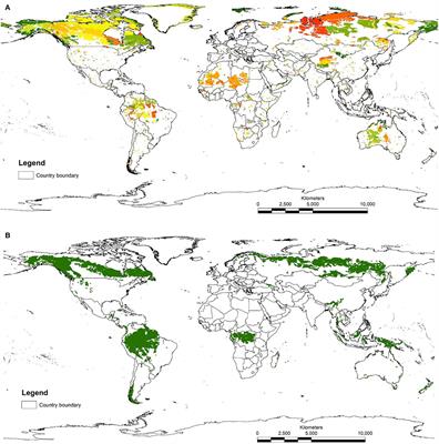 Are We Capturing Faunal Intactness? A Comparison of Intact Forest Landscapes and the “Last of the Wild in Each Ecoregion”